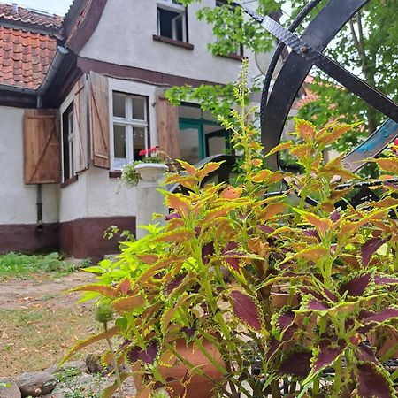 Dom Na Mazurach Pilec Exterior foto