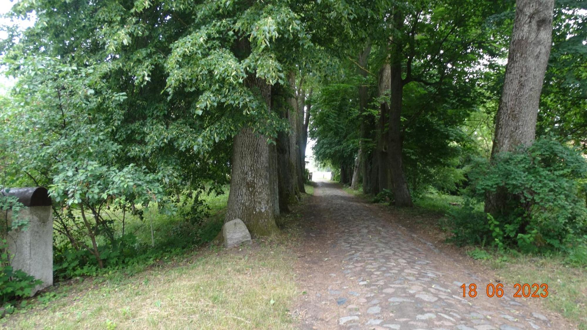 Dom Na Mazurach Pilec Exterior foto